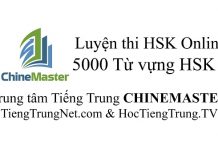 5000 Từ vựng HSK 6 Luyện thi HSK Online Luyện thi HSK Online Cấp 1 Từ vựng Tiếng Trung HSK 1, WEB Luyện thi HSK Online, Tiếng Trung HSK Thầy Vũ, 5000 Từ vựng Tiếng Trung HSK 6